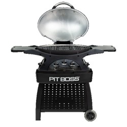 SPORTSMAN 3 - Barbecue gaz portable