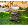 Pack Barbecue gaz portable - SPORTSMAN 3