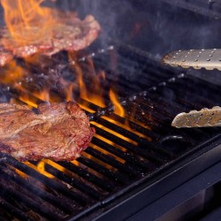 PIT BOSS COMPETITION 1250 Barbecue à pellet + Set casseroles OFFERT