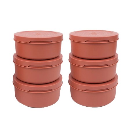 Boîtes à pâtons - Spetina